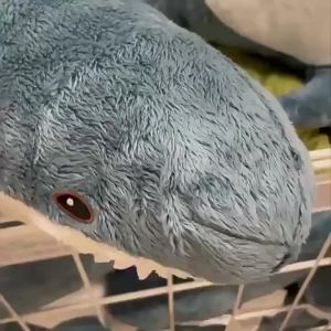 SQ3 Creative Cute Shark Plush Doll: Perfect Christmas Gift for Kids