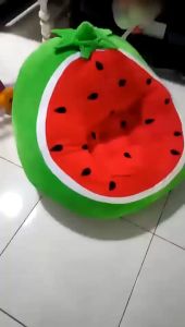 Kursi Duduk Anak & Sofa Bayi: Pilihan Terbaik untuk Kesehatan Anak