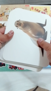 Mornington ยกเซ็ต ชุดการ์ดคำศัพท์ ขนาด A5 แฟลชการ์ด 3 ภาษา เสริมพัฒนาการเด็ก / เซ็ต 5กล่อง