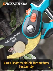 Tree Pruning Garden Shears