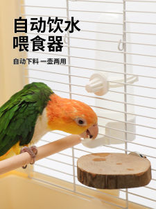Automatic Hanging Bird Feeder Waterer for Parrot in Cage Parrot Food Can Water Bottle Pet Supplies Bird Feeding Drinking Device