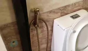 Toilet Bidet Set/Silver Brass Sprayer Dual Control Bathroom Handheld Toilet Jet Cleaner 2 Way Valve Water Spout Shattaf