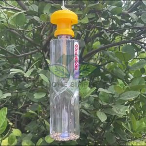 Bẫy ruồi vàng hại trái cây thế hệ mới12 món / bộ Hiệu quả tiết kiệm chi phí siêu bền Hộp Bẫy Ruồi Bằng Nhựa