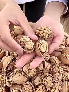 Thinned Shell Pregnancy-Suitable Natural Fresh Walnut 5jin