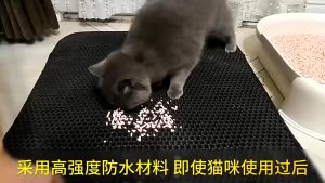 ปุ่มดูด้วย พรมแผ่นดักทรายแมว 2ชั้น EVA สำหรับใช้ในการที่รองดักทรายแมวที่ติดตามเท้า