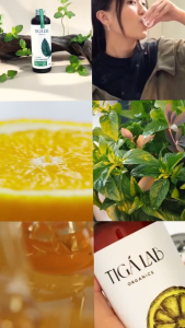 GLAMOIRE - TIGALAB Propolis Mouthwash 250ml - Obat Kumur Propolis Untuk Membunuh Bakteri Dalam 30 Detik & Menyegarkan Nafas Seharian