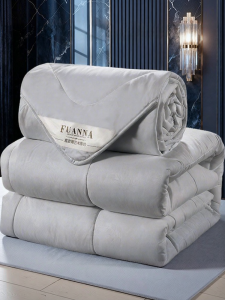 FUANNA (富安娜) | All-Season Dual-Function Dormitory & Childrens Soya Quilt