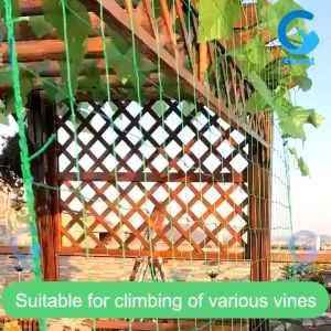 【A-Clouds】ตาข่ายปลูกพืชผัก ตาข่าย 10x10 cm ตาข่ายปลูกผัก ค้างไม้เลื้อย ค้างผัก