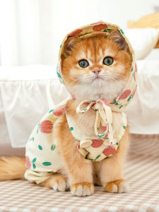 Blue Cat Costume Thin Autumn Winter Pet Clothes Cute Kitten Suspenders Pants Lovely Cat Clothing for Small Kittens