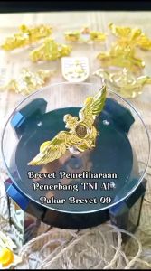 Pakar Brevet 09 : BREVET PENERBANG AL/BREVET WING PEMELIHARAAN