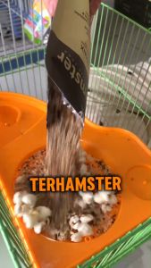 Makanan Hamster Kral Terhamster Premium MixSeeds 200g Dengan PopCorn Minyak Ikan dan Dried Maggot