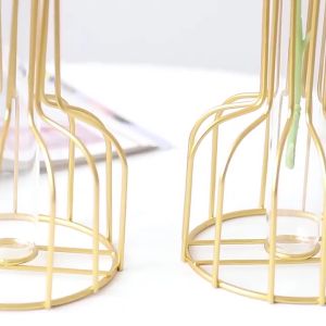 Nordic Wrought Iron & Glass Vase Golden Hydroponic Planter for Dried Flowers Living Room Dining Table Home Decor