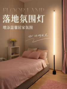 Đèn Sàn LED Phong Cách Hiện Đại Tối Giản Bằng Sắt Dùng Cho Phòng Khách Đèn Ngủ Đèn Bàn Đèn Trang Trí Đèn Góc Tường Đèn Trang Trí