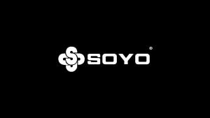 SOYO | B550M Argb Amd Am4 Motherboard Ddr4 64Gb Pcie 4.0 X16 HDMI Dp Type-C M.2 Nvme for Pc Gaming Compatible with Amd 3/4/5Th Gen Processors