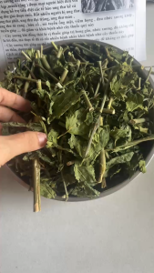 Cây xương khỉ phơi khô( Bìm Bịp Mãnh Cộng ) làm trà hỗ trợ Gan xương khớp ổn định huyết áp