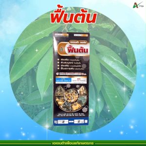 ฟื้นต้น แตกกิ่ง แตกใบ ฟื้นฟูสภาพต้น ใบเขียว ใบแข็งตั้ง หลังเก็บเกี่ยว ต้นสมบูรณ์ ทนสภาพอากาศ เอเจนต้า คอร์ป (1 ลิตร)