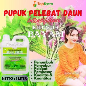 Pupuk Daun Bayam / Pupuk Penyubur Tanaman Sayuran / Pupuk Penyubur Tanaman Bayam / Pupuk Untuk Tanaman Bayam / Pupuk Penyubur Bayam / Pupuk Sayuran Bayam