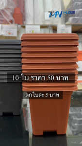 TMNHUBS Plastic กระถางต้นไม้ทรงสี่เหลี่ยม 10 ใบ ขนาด 5.5 นิ้ว กระถางปลูกกระบองเพชรแคตตัส ราคาโรงงาน