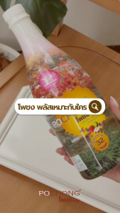 น้ำสมุนไพรโพชง พลัส Pochong Plus 1 ขวดใหญ่ และ 1 ขวดเล็ก ช่วยสุขภาพจากธรรมชาติ รับรองอย. รางวัล Natural product 6 ปี ซ้อน