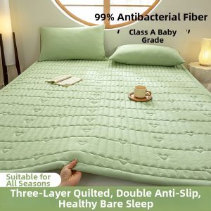 NAIYOUCHENG | Cotton Padded Antibacterial Mattress Set For All Seasons