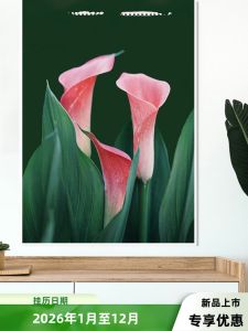 Premium Micro Flower Album Vertical Style Calendar High Definition Monthly Pages Cherry Blossom Lotus Rose Sunflower Wall Art