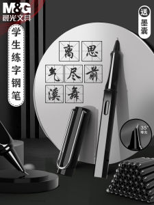 Morning Light Artistic Calligraphy Pen Sharp Tip Signature Writing Ink Cartridge Replacement Bendable Tip Hard Steel Pen