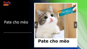 Pate cho mèo (thanh orgo 15g)