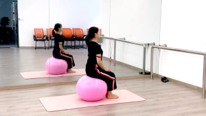 Gymball Bola Senam Yoga ball 75 cm Gym Ball Fitness Ball Bola Ibu Hamil Yoga Ball Free Pompa