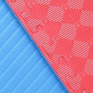 MOLORE | Shock Absorbing Sports Mat for Yoga Dancing Gymnastics Martial Arts