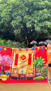 Tranh Vải treo tường in 3D background chụp ảnh decor phòng khách phòng ngủ quán cà phê quán ăn