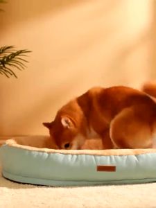 【Almost Best】 ที่นอนสุนัข ที่นอนแมว เบาะหมาใหญ่ สีทอง สีทอง 3 ขนาด นุ่ม สบาย สำหรับสัตว์เลี้ยง