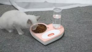[Rẻ vô địch] Khay Ăn Bát Ăn Cho Chó Mèo - Khay Ăn Trái Tim Kèm Bình Nước