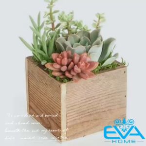 Chậu gỗ Vuông Trồng Cây  Chậu Gỗ Trụ Vuông Để Bàn  Hộp Gỗ Vuông Đựng Quà Trang Trí Decor Vuông 12 x 12 cm