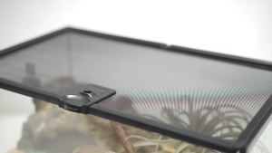 Tropical Rainforest Tank Ecological Breeding Tank Living Room Landscaping Ornaments Lizard Turtle Hermit Crab Climbing Pet Glass Breeding Box