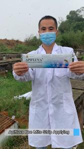 Treating for Varroa MitesApibuzz Apifluva 20pcs Fluvalinate StripBee Mite StripsBeekeeping MedicinesHoneybee Equipment Beehive