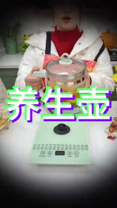 【SG STOCK】Electric Health Teapot 1.8L Multi-function Electric Kettle 24 Menus Thick Glass Kettle Boiling Water