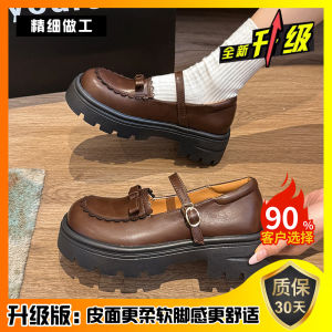 Karakum Thick Heel Mary Jane Womens Shoes Spring Autumn Butterfly Knot Slip-On Retro round Toe JK Single Shoes Fashionable Casual Flats
