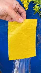 【Agate ของแท้】เทปกาวบิวทิล เทปกาวกันรั่ว เทปกาวติดท่อpvc แผ่นแปะหลังคาเทปกาวติดหลังคา เทปกาวอเนกประสงค์ กาวอุดรอยรั่ว ซ่อมหลังคารั่ว กันน้ำรั่วซึม#B-083