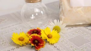 500g Silica Gel Powder Reusable Pengawet Bunga Segar Untuk Pengawetan Bunga