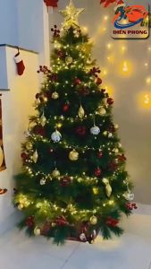 Dây đèn led trang trí đèn nguyệt quế trang trí noel vật dụng trang trí nhà cửa (có chui cấm điện)