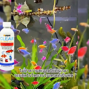 🐟Hipipet🐟จุลินทรีย์ แบคทีเรีย บ่อปลา ตู้ปลา น้ำใส จุลินทรีย์ช่วยลดของเสียในน้ำได้ดี สลายขี้ปลา ปรับสภาพน้ำใส ลดความเครียดให้ปลา 200ml