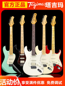Tagima Electric Guitar TG530pro510tg520T635tw55 for Beginners Stella Childrens Guitar Maple Fingerboard Ebony Nut Professional Level
