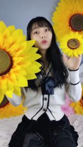 Kostum Bunga Matahari Aksesories Drama Pentas genggam Flower Bunga Matahari Bahan Ramah Lingkungan Model 30Cm - Lazada