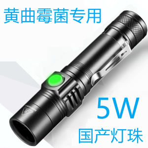 Fluoresce Detection Purple Light Money Detector Pen Professional Use Money Coins Tobacco and Alcohol Lamp Ultraviolet Rechargeable Flashlight Instrument