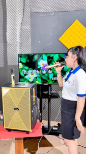 Loa kéo Karaoke bass 30 S10 Plus – 2 Micro Công Suất 300W 7 Đường Tiếng Micro Hút Âm Tốt