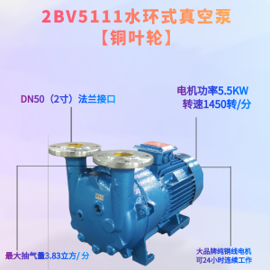 Bozhou BoShan Water Ring Vacuum Pump 22-5KW for Carving Machine Air Extraction Industrial Use Cast Iron Material