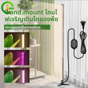 Full Spectrum LED Grow Light AC110-220V Phytoโคมไฟเดสก์ท็อปโคมไฟสําหรับดอกไม้ในร่มVEGต้นกล้าSucculent Fitolampy