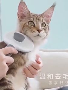 Cat Hair Comb One-click Self Cleaner Pet Dog Fur Remover Removal Brush Sikat Bulu Kucing Berus 一键除毛宠物猫狗梳子