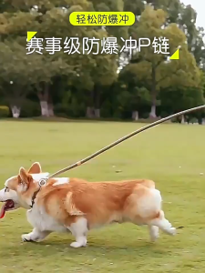 สายจูงสุนัข (ความยาว1.5/1.8M) (ความหนา 6MM/8MM)หมา สัตว์เลี้ยง พร้อมที่จับ สำหรับสุนัขขนาดกลางและใหญ่  CW75