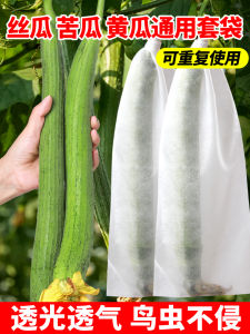 ถุงป้องกันพิเศษสำหรับแตงกวาและมะระผลไม้กำจัดศัตรูพืชถุงตาข่ายผักอุปกรณ์ทำสวนดอกไม้การส่งมอบจำลองเรือนกระจก